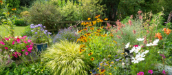 3 ways to turn your backyard into a nature haven