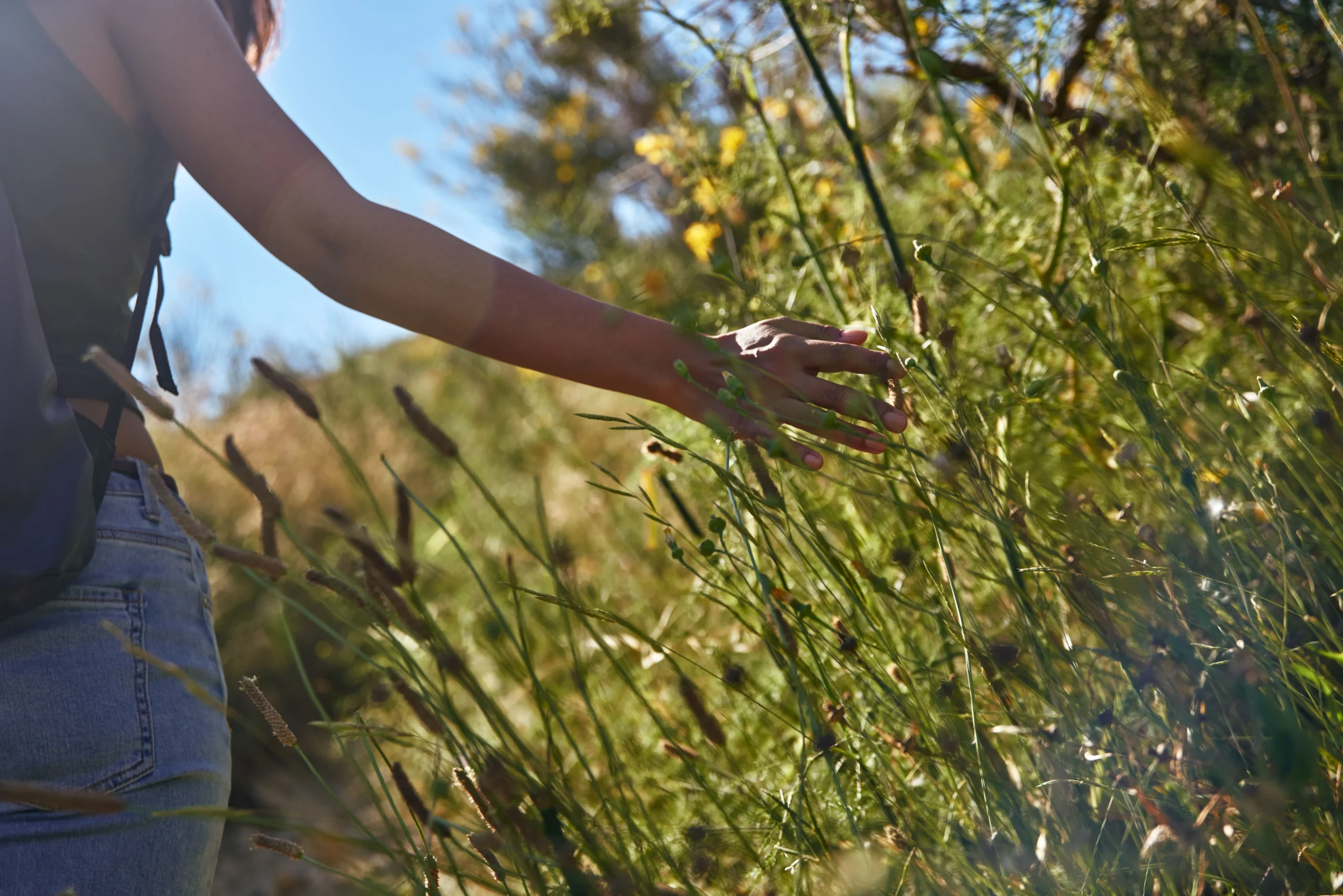 Balance starts with nature