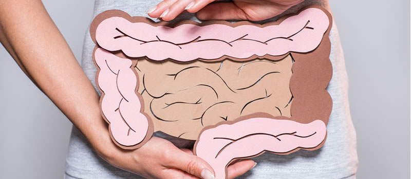 Woman holds diagram of intestine